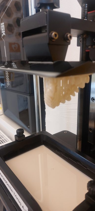 3D-gedruckter Zahnkranz